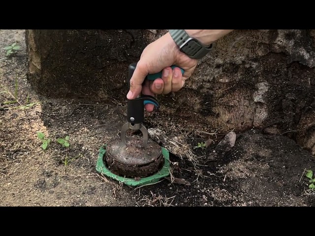 iTAS Coptotermes Attack