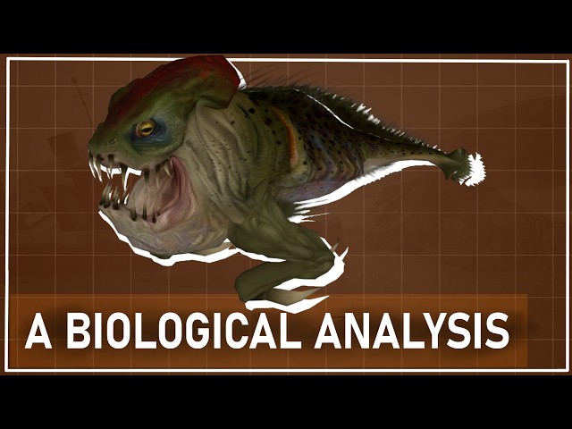 A Biological Analysis of the ICHTHYOSAUR