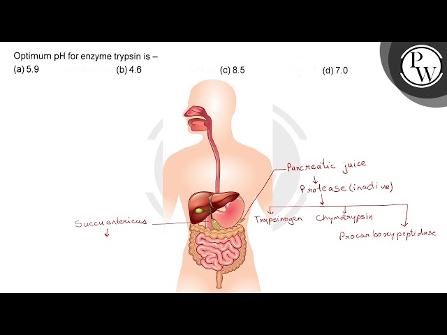 Optimum \( \mathrm{pH} \) for enzyme trypsin is -  (a) \( 5.9 \)  (...