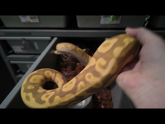 Where have we been? What is going on?