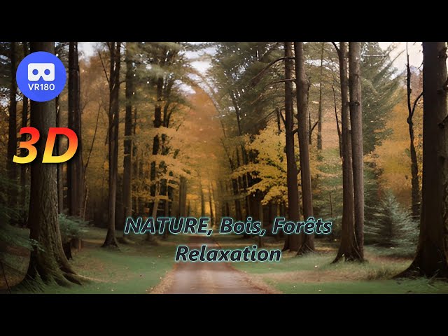 2023 - VR180 3D - LA FORÊT au jour le jour - 2 décembre