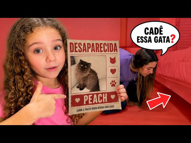 LA GATA DE DIVA DESAPARECIÓ | ¿dónde está?