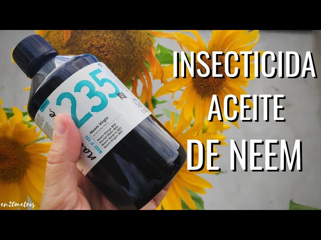Qué es el ACEITE DE NEEM (nim)?  Qué lleva, qué hace y cómo se usa? FUERA DUDAS || en20metros