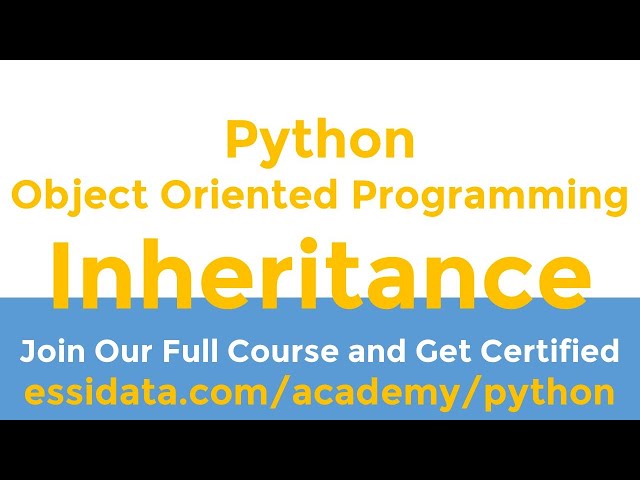 Object Oriented Programming OOP Inheritance Python Tutorial