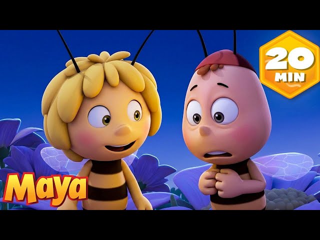 Maya and the Runaway Bee 😱 Maya the Bee 🐝 Full Episodes | Cartoons for Kids