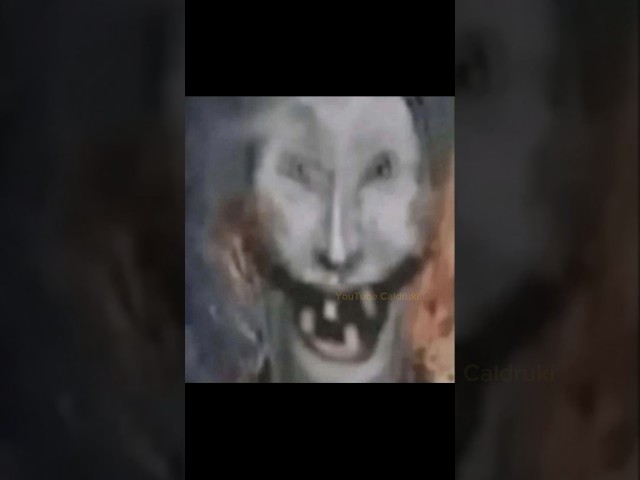 Just print more Adriens #funny #dankememes #memes #slideshow #shorts