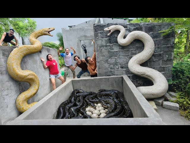 Brave Experts Use High-Tech Snake Detectors to Locate Giant Python Nest to Rescue Ethnic Girl