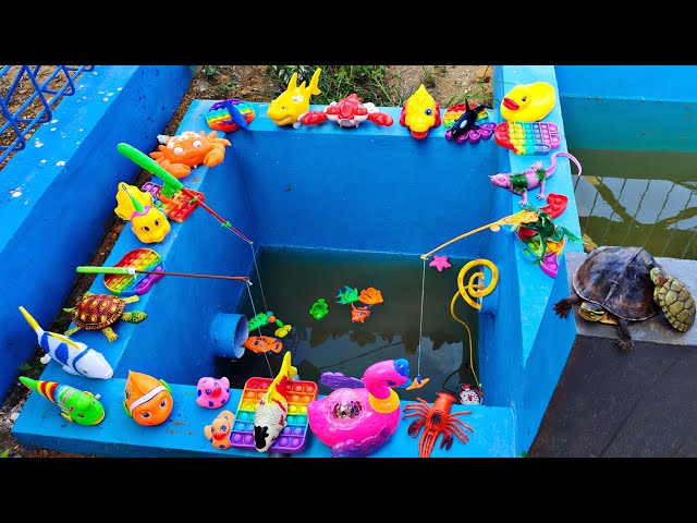 Wow It's Fun Fishing for Ornamental Fish in the Pond, Goldfish, Koi, Real Turtles, Ducks, Swans