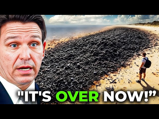 Florida Lowered Lake Okeechobee — And what Emerged From The Mud Left Locals STUNNED