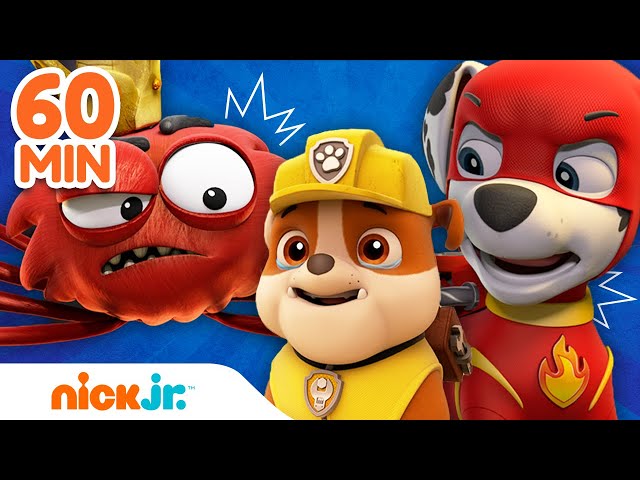 ¡Los MÁS GRANDES rescates de la Patrulla de Cachorros! 🙀 | Nick Jr. en Español