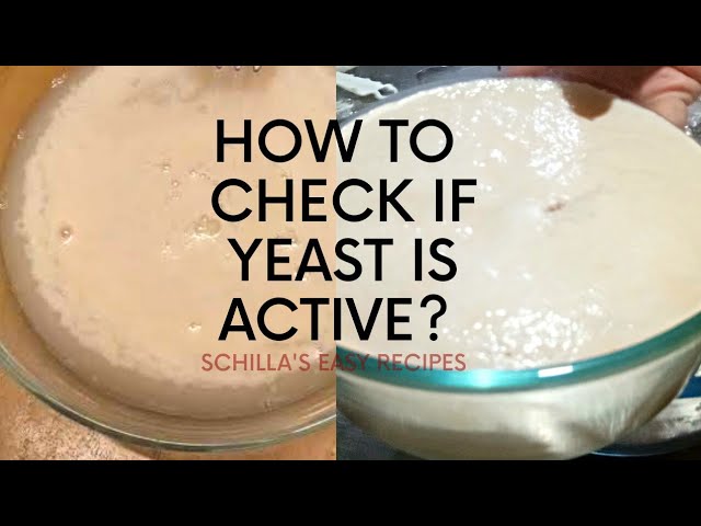 How To Check If Yeast Is Active?  | Good Yeast and Bad Yeast | Schilla's Easy Recipes