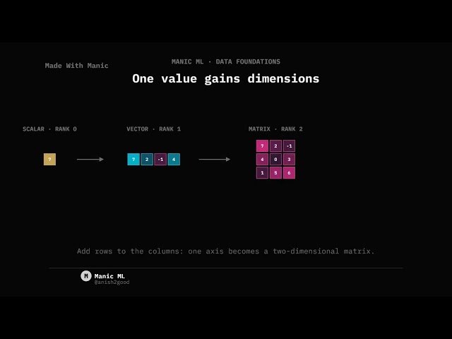 Scalar, Vector, Matrix, Tensor — How Data Gains Dimensions in Manic