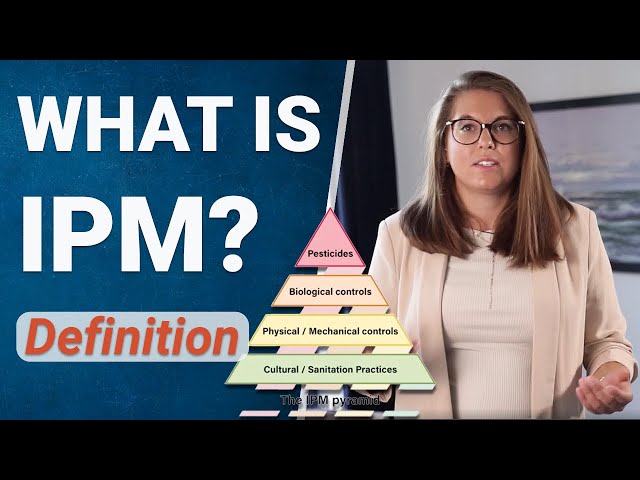 What is Integrated Pest Management (IPM)? How it works and why it's important