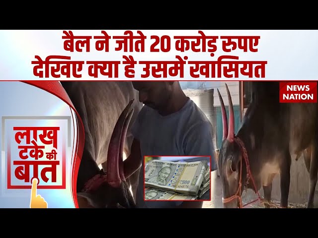 Bull from Maharashtra won prize worth 20 crore rupees: महाराष्ट्र के बैल 'लखन' का कमाल। Won 13 Car