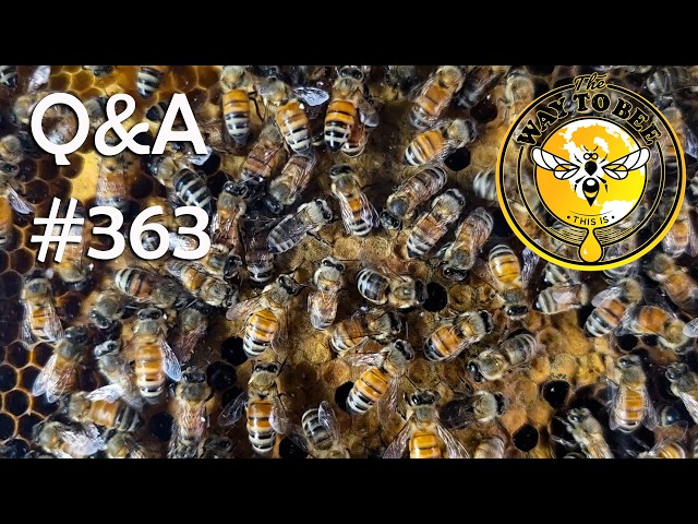Backyard Beekeeping Q&A 363 July 17th
