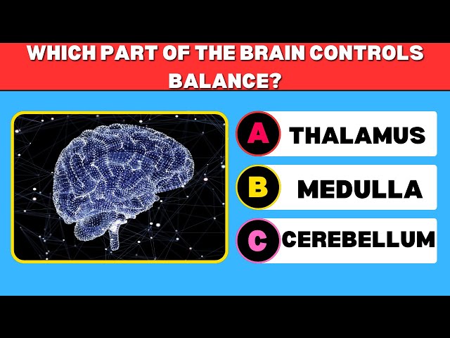 Only 1% of Nurses Can Score 49/49 on This Medical Quiz --- Can You?