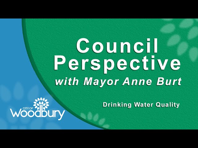 Council Perspective: January 2023