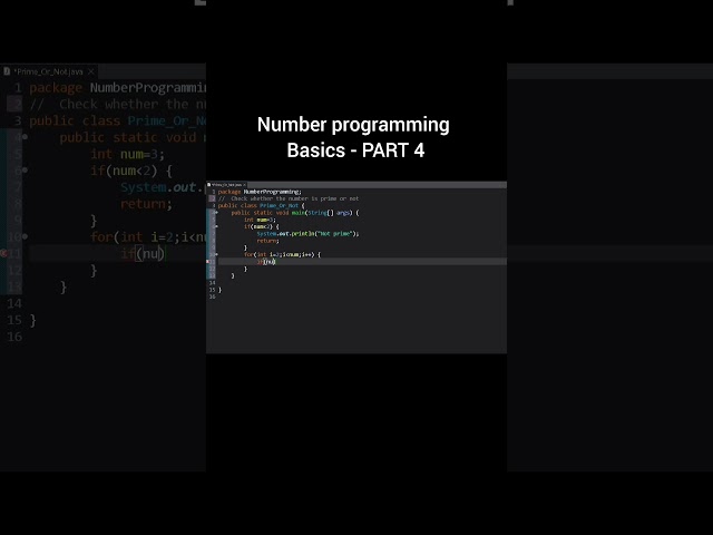 NumberProgrammingBasics-Part4 (Prime or not)