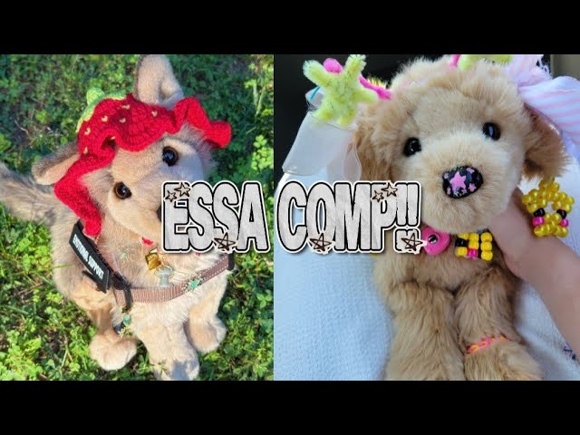 ESSA comp #3 | none are mine | credits to original posts on TT