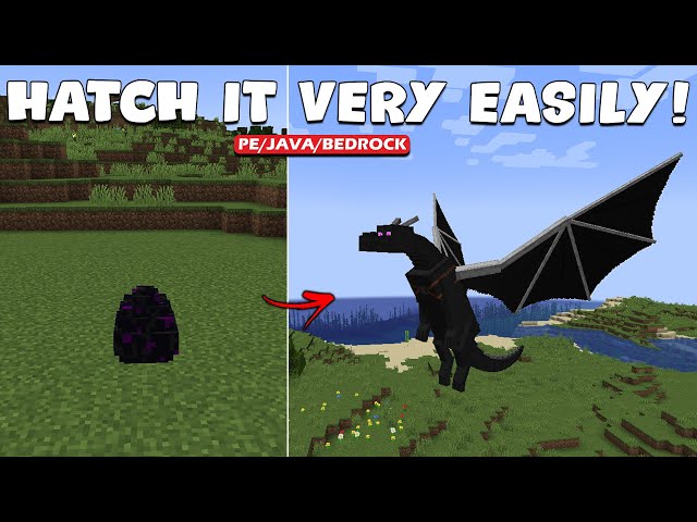 How to Easily Hatch Ender Dragon in Minecraft (1.21+)