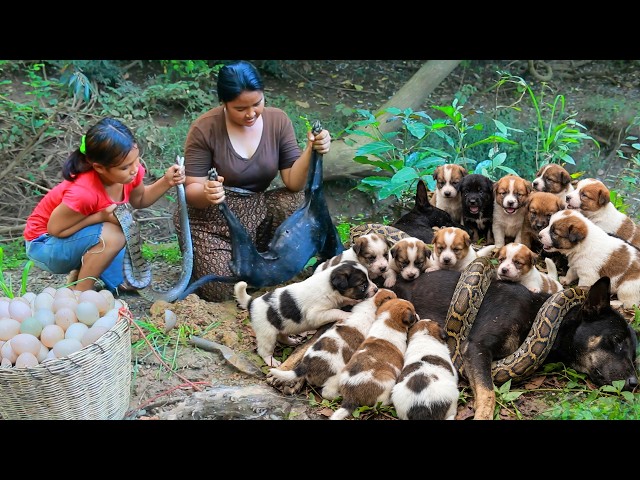 Brave Rescue! Saving Helpless Puppies from a Giant Python 🐶🐍