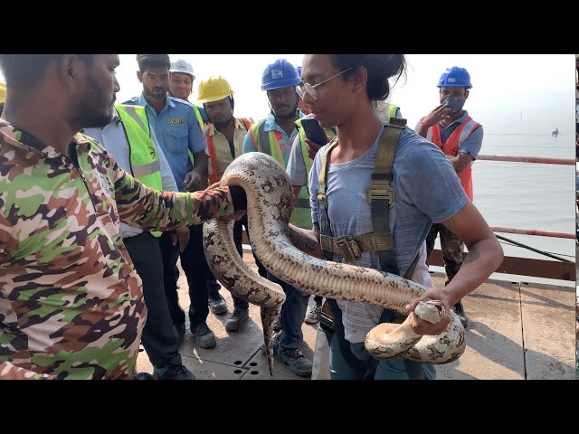 RISKIEST  RESCUE OF MY LIFE| PYTHON IN SEA.
