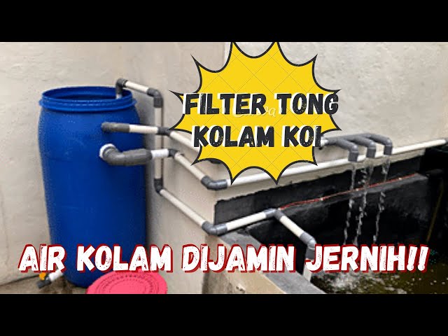 DIY MEMBUAT FILTER KOLAM IKAN KOI SISTEM VORTEX DARI TONG BIRU BEKAS AIR JERNIH MAKSIMAL | FISH #3