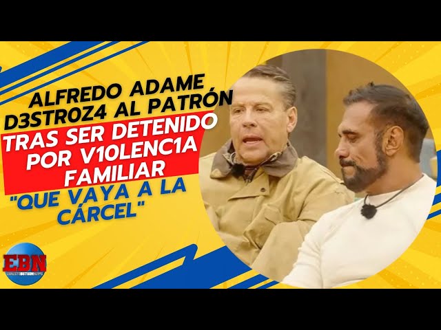 🚨 Alfredo Adame DESTROYS the Boss after being arrested for DOMESTIC VIOLENCE 😱 "He should go to j...