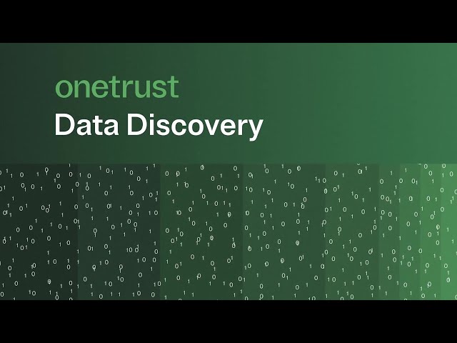 How does data discovery work?