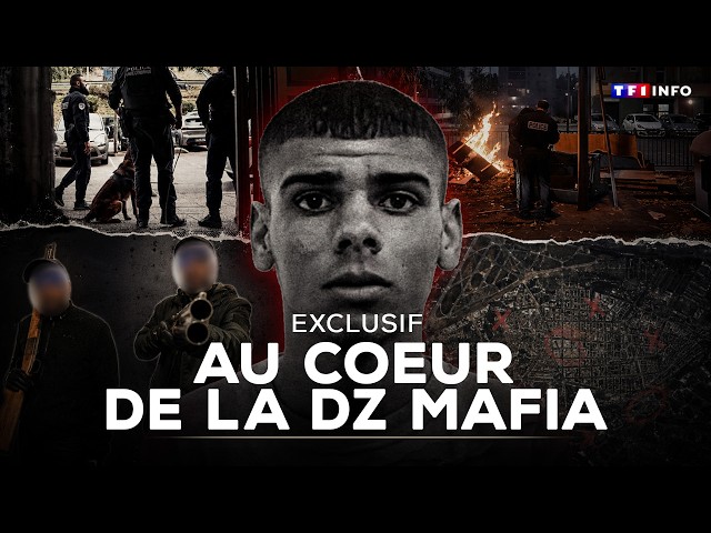 Drugs, extortion, assassinations: a deep dive into the heart of the DZ Mafia | TF1 INFO