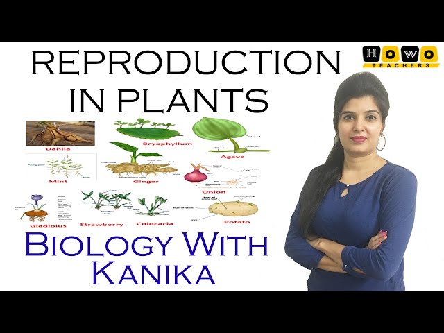 REPRODUCTION IN PLANTS | ASEXUAL REPRODUCTION | VEGETATIVE REPRODUCTION |PLANT REPRODUCTION | KANIKA