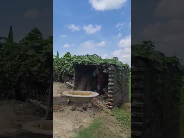 कहानी #nepalpost #newvideo #hindi #youtubeshorts #latestnews #like