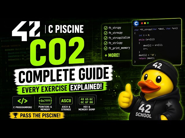 42 C Piscine C02 Explained | Complete Guide to Every Exercise (English)