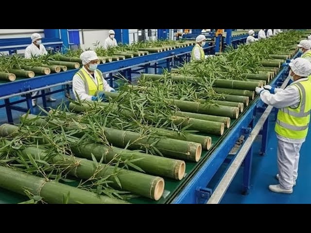 Inside a HIGH-TECH Bamboo Factory | An Astonishing Modern Manufacturing Process