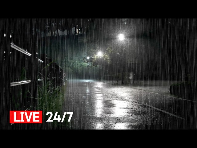 🔴 Rain Sounds For Sleeping - No Ads Rain Sounds LIVE, Sleep Fast with Real Sound of Rain, Not AI