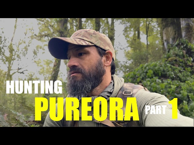 Hunting Pureora Part 1 | Wild Life Hut & Cowan Block