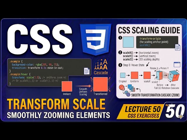 CSS Transform Scale: Smooth Zoom Hover Effects | Lecture 50