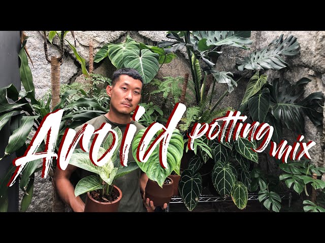Aroid (and epiphyte) Potting mix