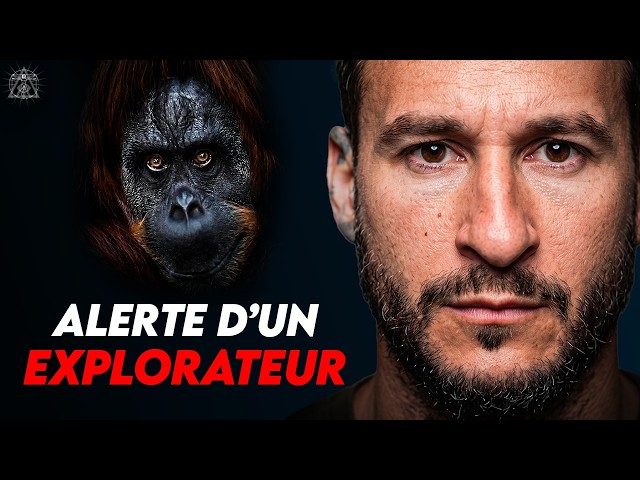 Ils vous crèvent les yeux en premier : cet explorateur décrit la réalité de la jungle
