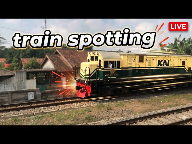 🔴 LIVE: Train Spotting at the Railroad Crossing! Massive Train Approaching 🚂💨Don't Skip 🔥