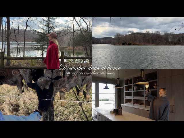 December days at home: scullery tour, new property, cooking, walks