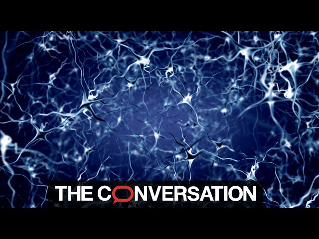 What is a neural network? A computer scientist explains.