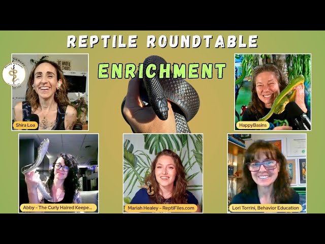 Enrichment for Snakes: Expert Advice | Reptile Roundtable Discussion