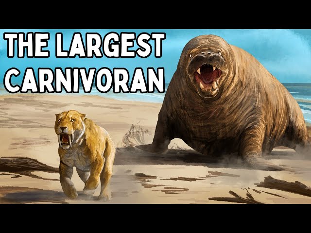 The Largest Animals You've Never Heard Of