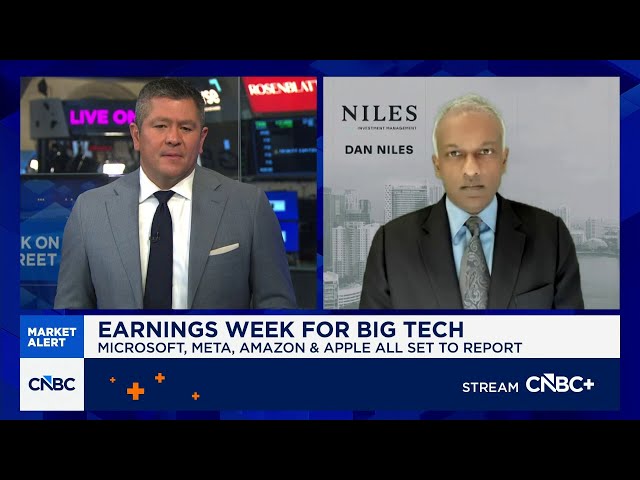 Dan Niles on the biggest issue with Apple
