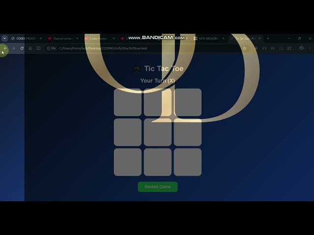 Programming Language