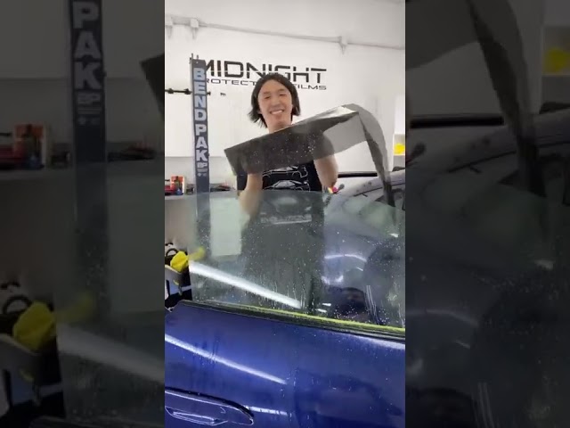 HOW TO TINT