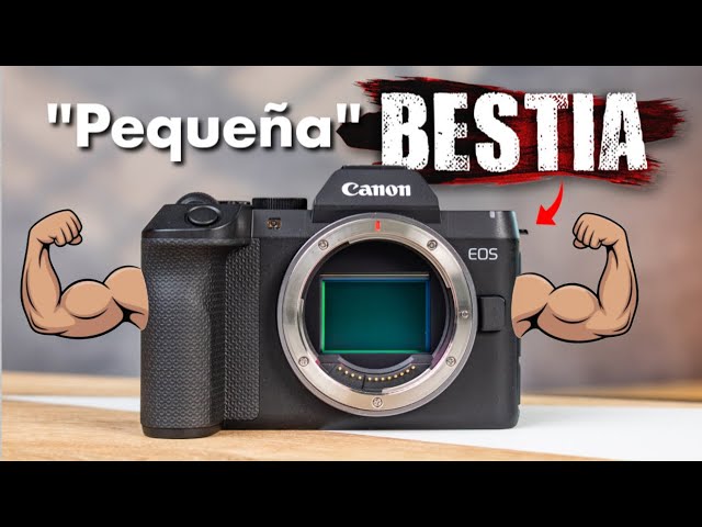 Canon R8 Mark II: Review and Real-World Test