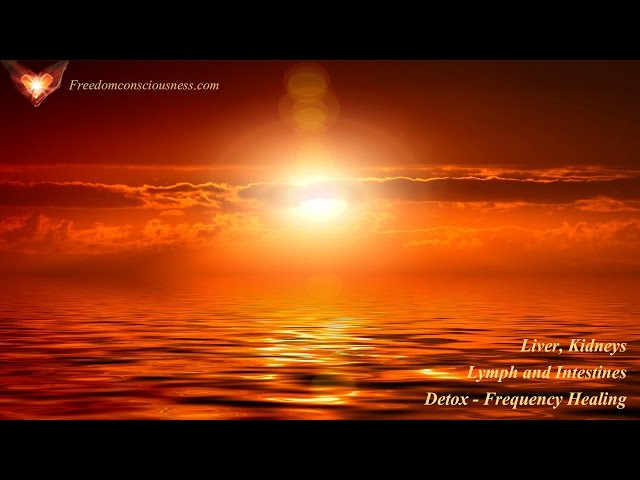 Liver, Kidneys, Lymph and Intestines Detox Frequency Healing - Organ Cleanse and Detox