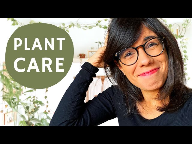 TAKING CARE OF 100+ PLANTS! My spring plant care routine